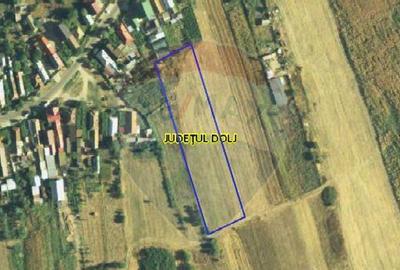 Teren 4,800mp Craiova / Rovine 2 - 3