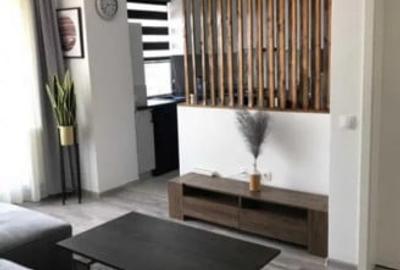 Apartament cu 2 camere semidecomandat, mobilat în Avantgarden - 4