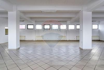 Birou, de 289 mp, în Bartolomeu - 14