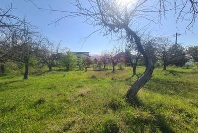 Teren de vanzare in Campina in zona retrasa - 5
