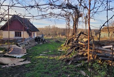 Casă cu 3 camere în Homorodu de Sus - 6