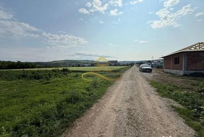 Teren de 500 mp, în Crihan - 4