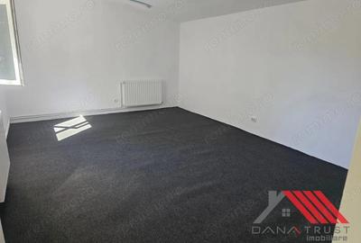 Lipovei - Dedeman - Spatiu Birouri - 22 mp - 150 euro - 2