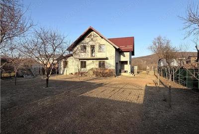 Casă cu Teren 8400 Mp în Pătrăuți - 4