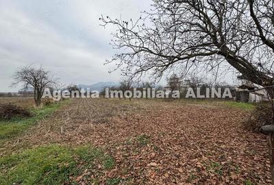 Casa si teren 3.851mp in Satul Soimus din Comuna Soimus, Jud. Hunedoara. - 7