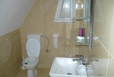 Casă cu 6 camere în Clăbucet - 12