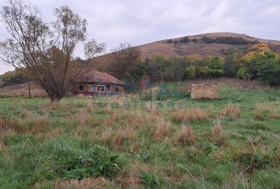 Teren plan 4800 mp cu casa demolabila, centru Corpadea, Apahida - 4