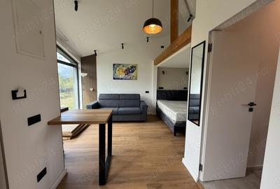 Vand complex de case de vacanta sau inchiriere in regim hotelier Rasnov - 1