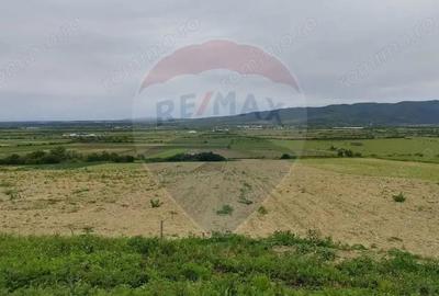 Teren extravilan de vanzare in Manau -Maramures! - 2