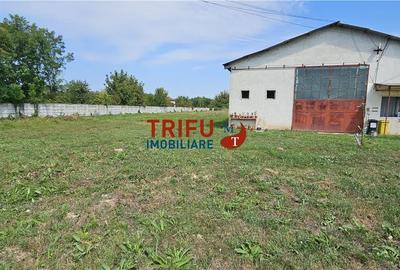 Spațiu Industrial în Alba Iulia de închiriat - 1