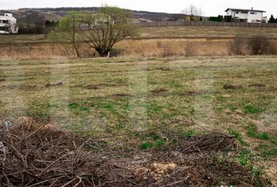 Teren în Borhanci - 12