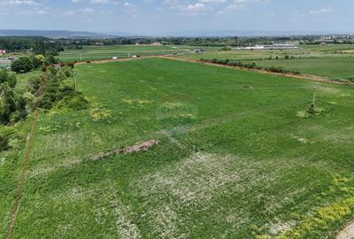 DN11 | 45.000 mp industrial | Front 155 ml | PUZ aprobat | UAT Prejmer - 7