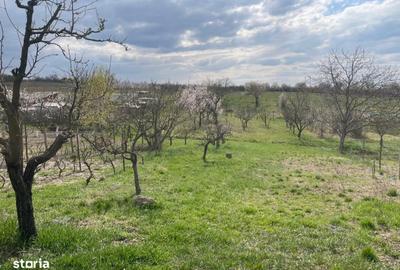 Casă cu 2 camere în Săldăbagiu de Munte - 9