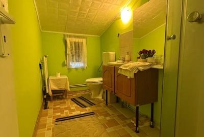 Apartament spatios, 3 camere, cu boxa pentru depozitare si gradina - Iosefin - 6