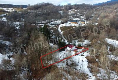 Casă în Brădetu - 18