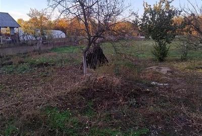 RECO Casa 3 camere, Alparea - 5