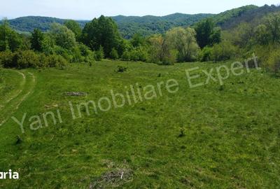 Teren de 19452 mp, în Central