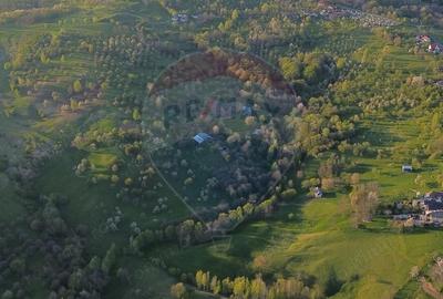 Teren de 15459 mp, în Bughea de Sus - 7