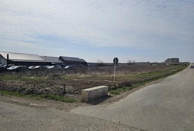 Teren Construcții intravilan de 700 mp, în Răchiți - 2