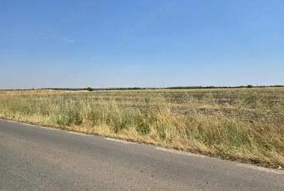 Teren extravilan Smardioasa, cota 1/6, ID: R2688427 - 2