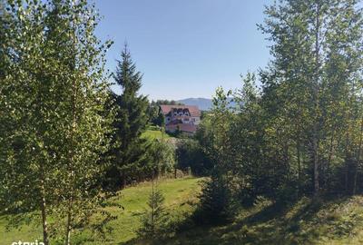 Casă cu Teren 4200 Mp în Central - 9