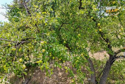 Teren de 4500 mp, în Sâncraiu - 2