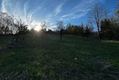 Teren de 2500 mp, în Valea Doftanei