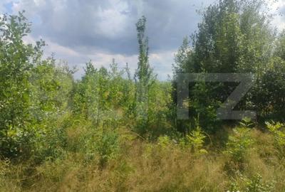 Teren de 5857 mp, în Horodnic - 5