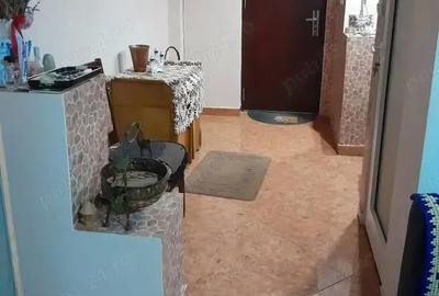 Apartament cu 2 camere semidecomandat în Ineu - 3