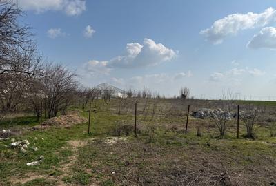 Teren Construcții intravilan de 4990 mp, în Pasărea - 7