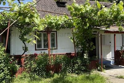 Casa la tara, cu dependinte si gradina - 1