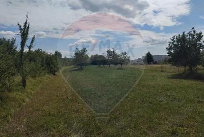 Teren de vanzare in Tautii-Magheraus / Strada 66 - 5