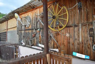 Stefanesti - Izvorani, casa 3 camere, teren 250 mp, beci! - 2