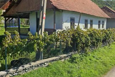 Casa de vanzare in Bal?a, jud. Hunedoara - 1