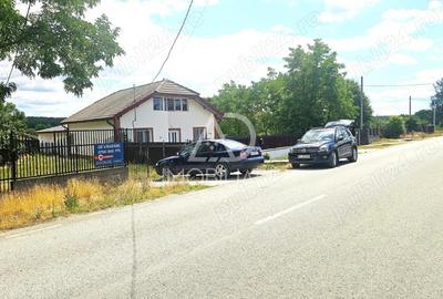 Casa de vanzare - Runcu, sat Rachiti - 7