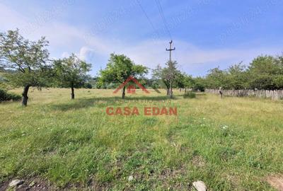 Casă cu Teren 1490 Mp în Voila - 9