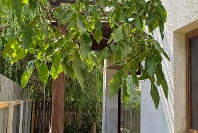 Casă individuală cu 3 camere cu Teren 293 Mp în Central - 5