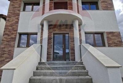 COMISION 0% Casa cu 4 camere de vanzare in Dezmir, 700 mp de teren - 10