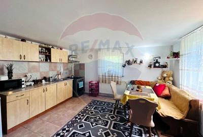 Pensiune + Vila pe malul raului Lotru-Malaia,Valcea - 35