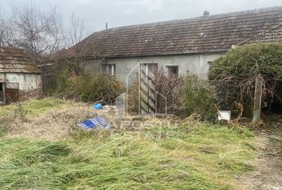 Casă cu 4 camere cu Teren 1509 Mp în Ghiroda - 4