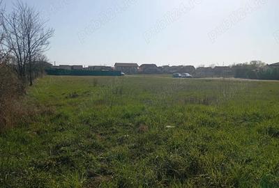 Teren de 680 mp, în Moșnița Nouă