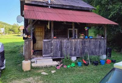 Casă cu Teren 2000 Mp în Scrind-Frăsinet - 7