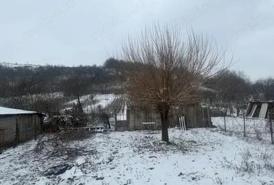 Casă cu Teren 2000 Mp în Podari - 11