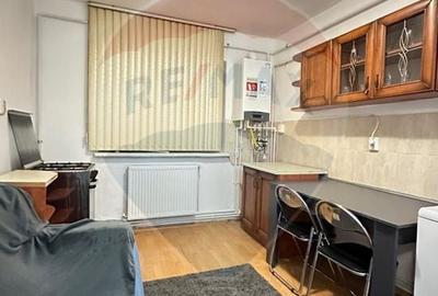 Apartament de inchiriat - Valea Rosie - 6