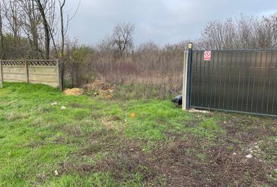 Prelungirea ghencea nr 414b,strada floare galbena, - 9