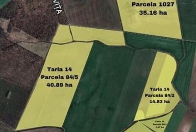 Vand teren Crevedia 140 hectare