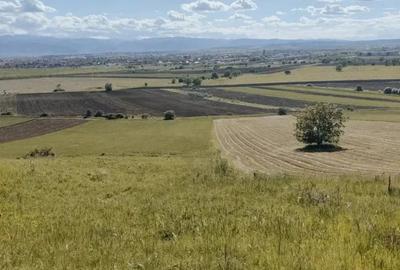 Arendam teren agricol - 1