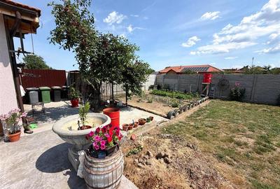 Casă cu 3 camere cu Teren 740 Mp în Tărian - 9