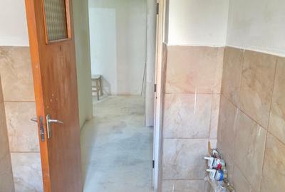 Lacul Tei  Teiul Doamnei  Colentina - 5