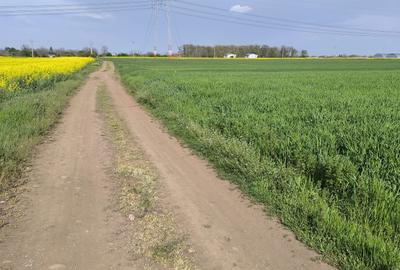 Frumusani DN 4 Popas-20km de Bucuresti , posibilitate parcelare Frumusani DN 4 Popas-20km de Bucuresti , posibilitate parcelare - 1